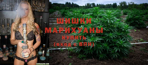 прущие крисы Новокубанск