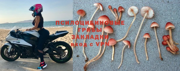 прущие крисы Новокубанск