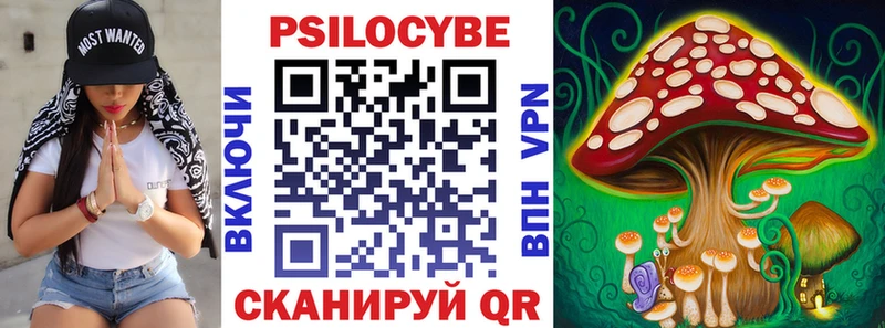 где продают наркотики  Екатеринбург  Галлюциногенные грибы мицелий 